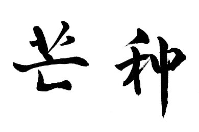 《医院特殊待遇5》,医院新规：五大贴心服务等你体验