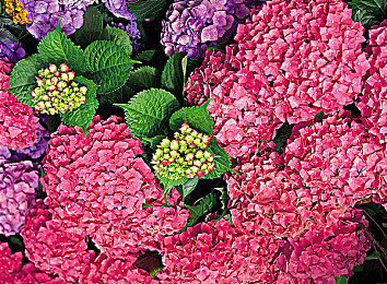 GAy无套GayGay无套:“GAy无套引关注,健康观念待提升”-2