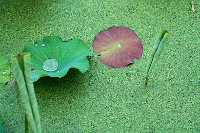 lls888.app 192.168.0.1ll:应用新秀:一站式服务大揭秘-2