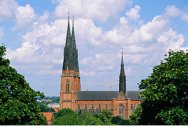 GAy无套GayGay无套:“GAy无套引关注,健康观念待提升”-3