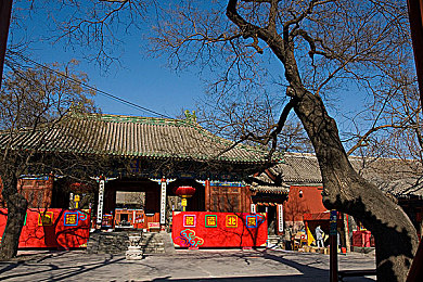 春暖花开 回家入口,春日温情，寻亲之旅-2