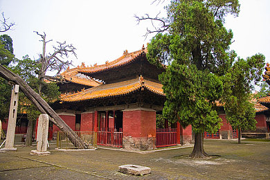 人人爽人人爽人人,科技新宠，引领潮流-1