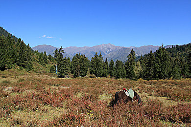 激情五月天婷婷丁香,神秘冒险，梦幻游戏引关注-2