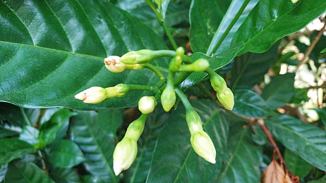 18岁以下禁用软件：科技护航，青春无忧-3