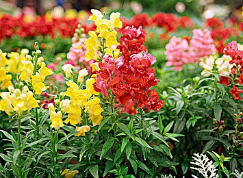 甘雨爽 好大 快 深,游戏新宠：视觉盛宴，畅快体验-2