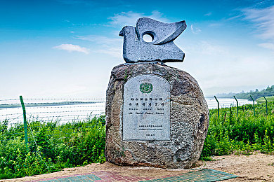 黄色软件在哪下载,揭秘：网络暗流涌动，这些软件你敢下？-4