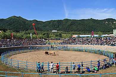 国产91 在线播放张津瑜,神秘大陆冒险，女神张津瑜引热议-2