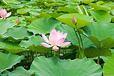 119149·神秘,数字谜团：揭秘我国科技突破新篇章-3