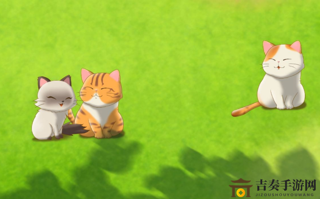 猫语咖啡广告收益秘籍，广告效益一览无遗