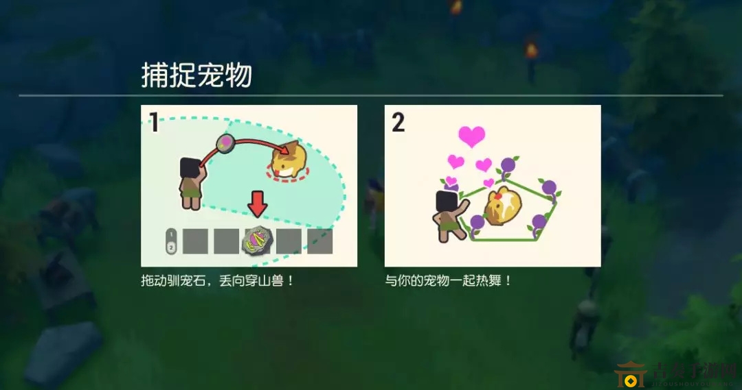 《海岛纪元》宠物技能详解，分类与玩法一网打尽
