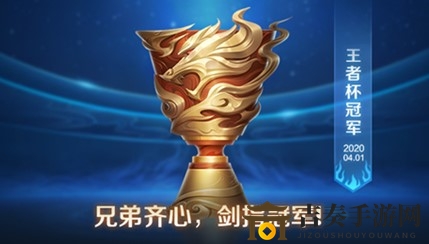 王者荣耀王者杯开启攻略，了解参赛资格要求