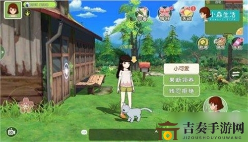 小森生活领养猫咪攻略全解析