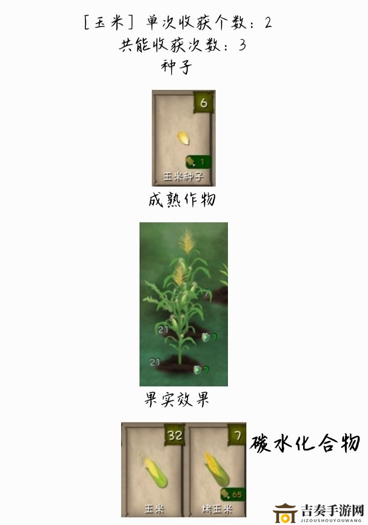 挨饿荒野泰国丛林作物图鉴 泰国丛林作物大全