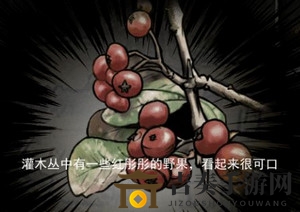 劫后余生日常与组队任务完成攻略