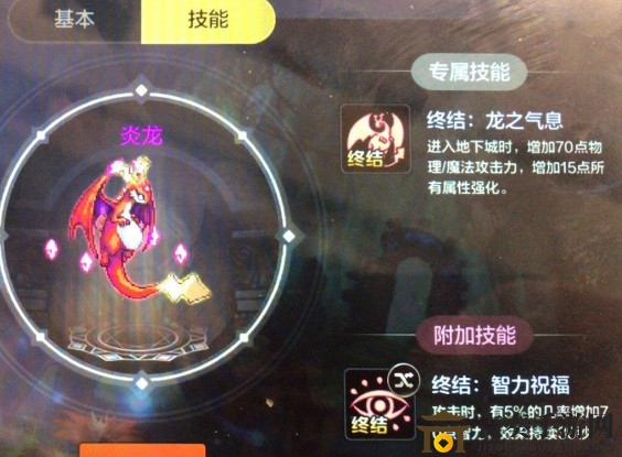 DNF手游宠物养成指南：获取与装备攻略详解