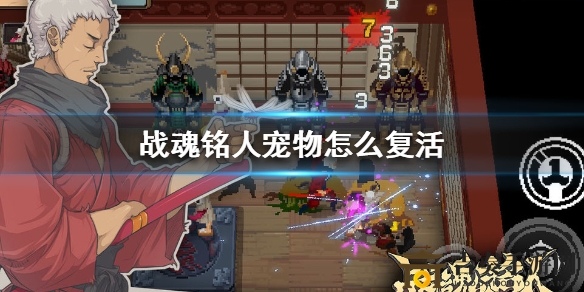 战魂铭人宠物复活攻略：详解复活流程与技巧