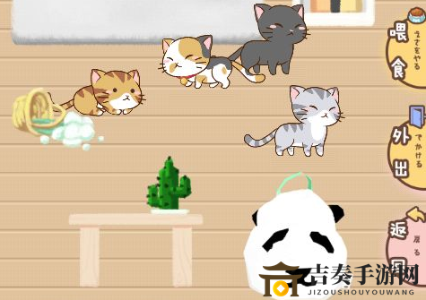 猫宅97攻略秘籍，好感度速升技巧全解析